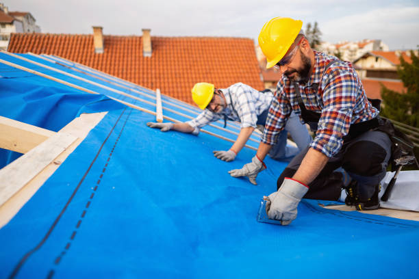 Best Gutter Installation and Roofing  in Morganfield, KY